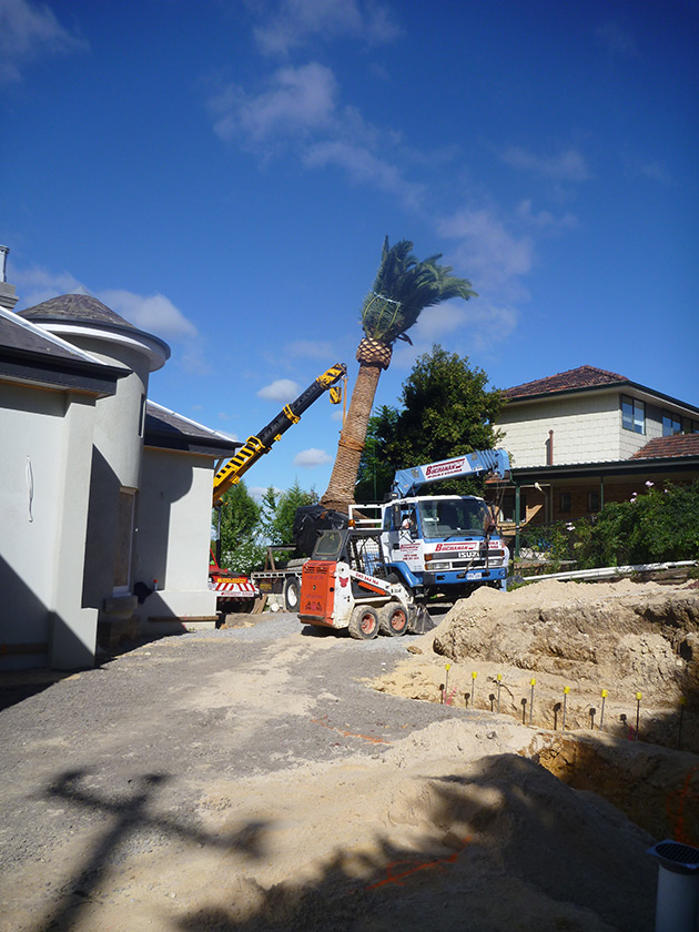 Precision Tech Woodrow Ivanhoe East Progress 15